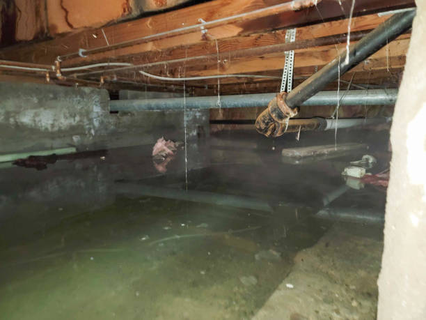Best Water damage contractors near me  in Keyport, NJ
