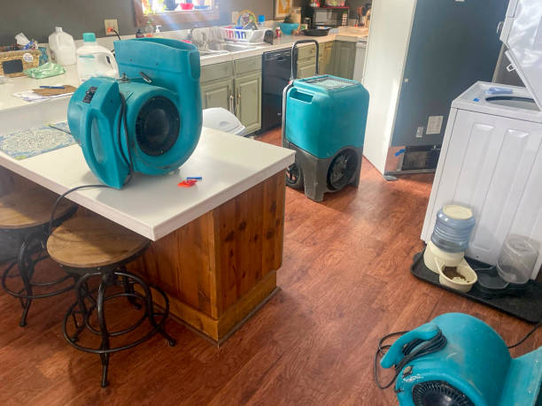 Best Flood damage cleanup  in Keyport, NJ