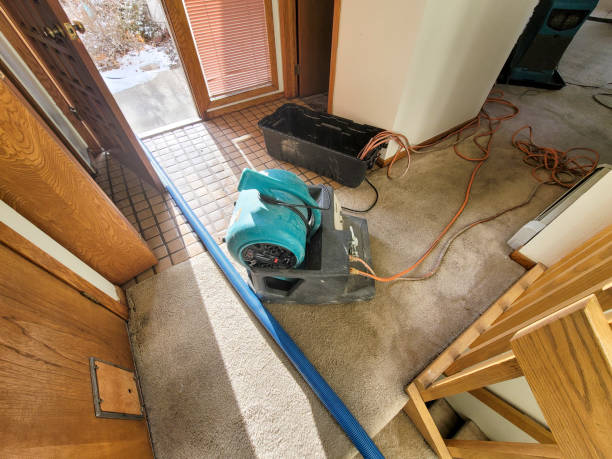 Trusted Keyport, NJ Water damage restoration Experts