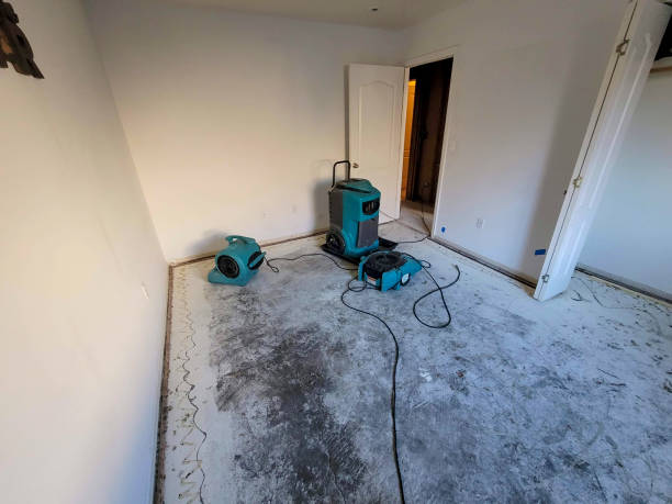 Best 24/7 water damage repair  in Keyport, NJ