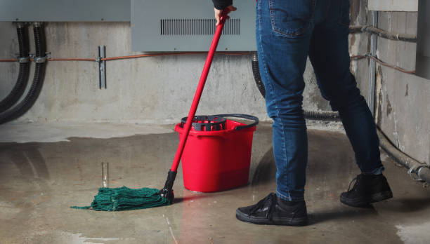 Best Basement water damage restoration  in Keyport, NJ