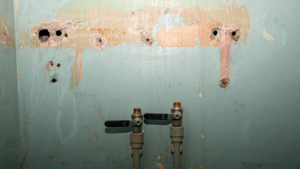  Keyport, NJ Water damage restoration Pros